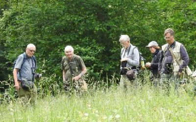Lower Woods Gloucestershire WT reserve, 24 June 2021