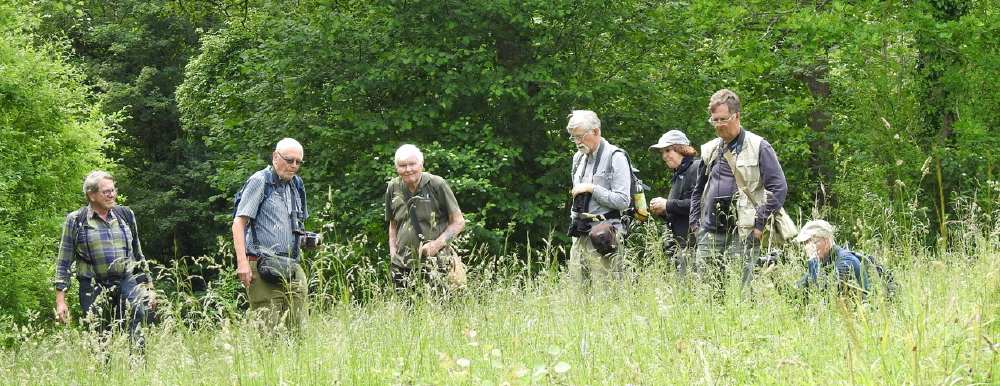 Lower Woods Gloucestershire WT reserve, 24 June 2021