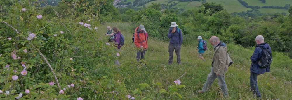 Little Solsbury Hill, Sunday 19 June 2022
