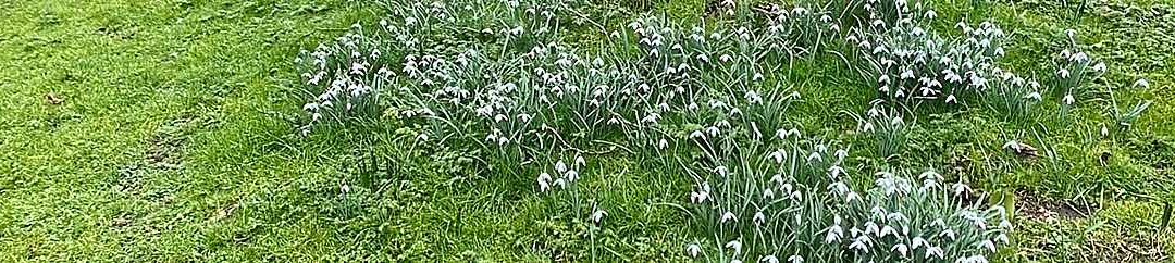 Springhead Trust, Fontmell Magna, 21 Feb 2025