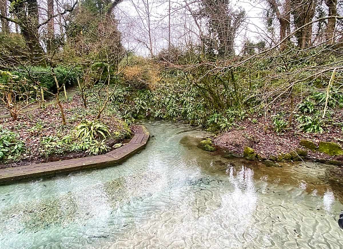 The Springhead Trust, Fontmell Magna 