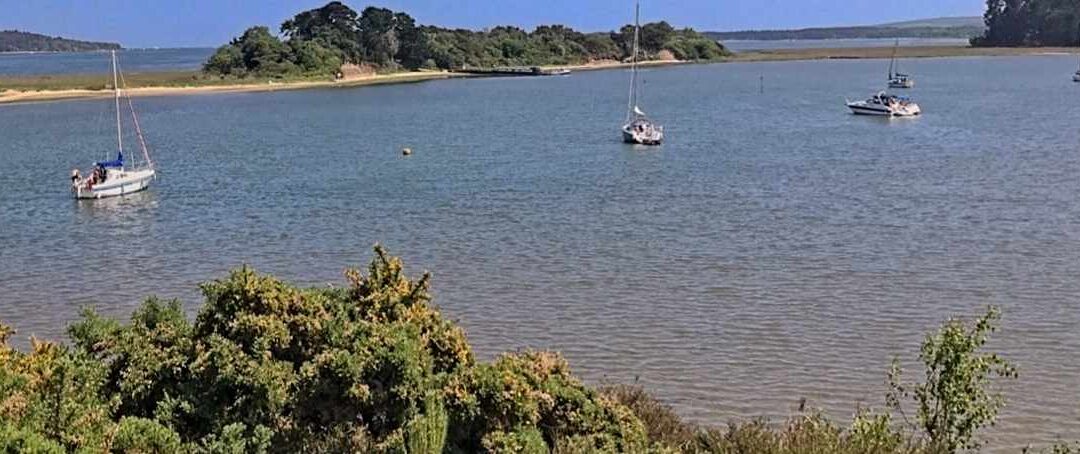 Arne Nature Reserve, jointly with RSPB, 17 May 2025