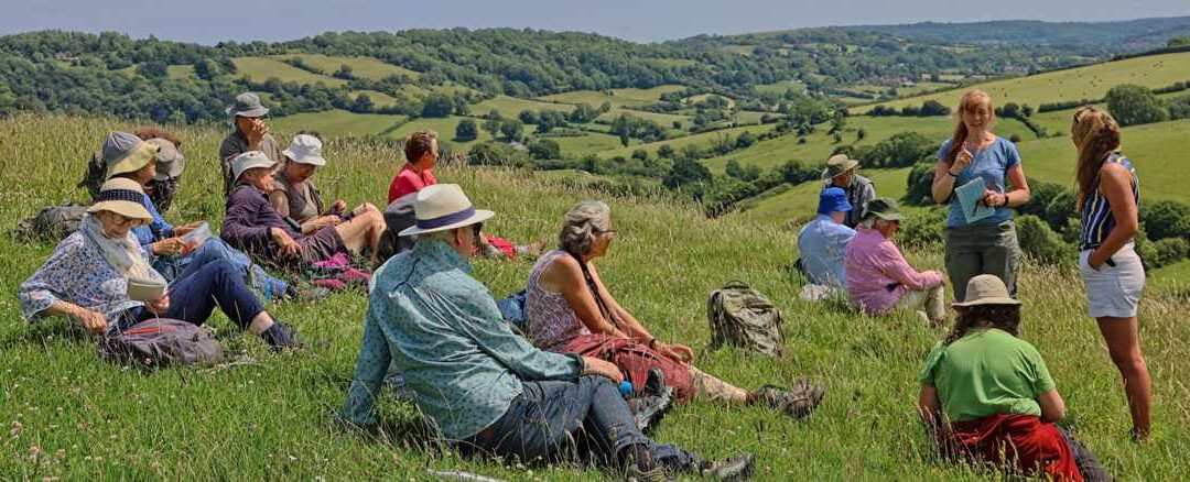 Manor Farm, Langridge, 17 June 2025